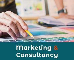Consultancy