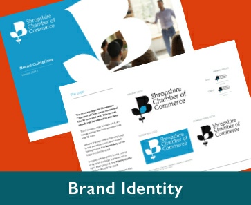 Portfolio Brand